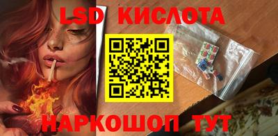 гашик Бийск