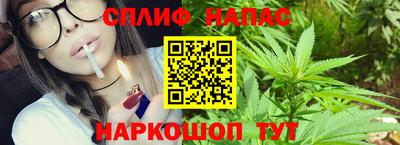 гашик Бийск