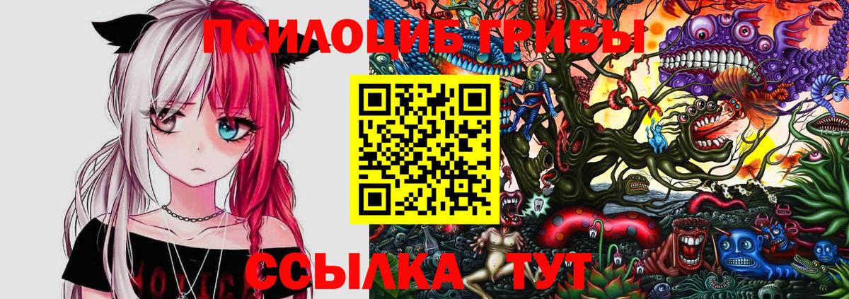 Галлюциногенные грибы Magic Shrooms  Вход с VPN  Кимры  Галлюциногенные грибы Psilocybe 