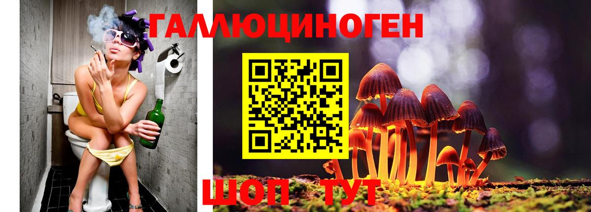 Галлюциногенные грибы MAGIC MUSHROOMS Кимры